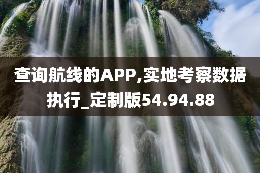 查询航线的APP,实地考察数据执行_定制版54.94.88