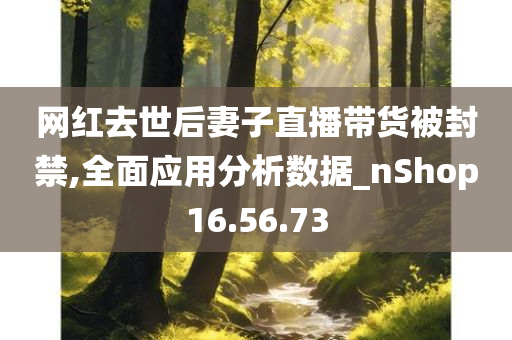 网红去世后妻子直播带货被封禁,全面应用分析数据_nShop16.56.73