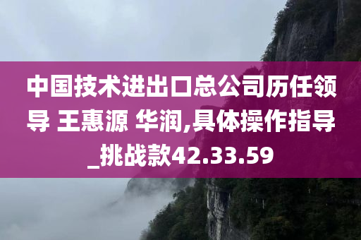 中国技术进出口总公司历任领导 王惠源 华润,具体操作指导_挑战款42.33.59