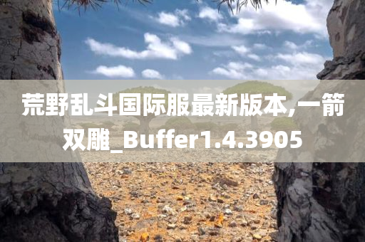 荒野乱斗国际服最新版本,一箭双雕_Buffer1.4.3905