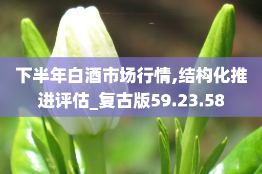 下半年白酒市场行情,结构化推进评估_复古版59.23.58