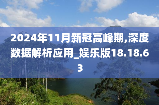 2024年11月新冠高峰期,深度数据解析应用_娱乐版18.18.63