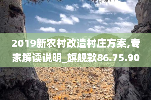 2019新农村改造村庄方案,专家解读说明_旗舰款86.75.90