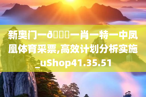 新奥门一🐎一肖一特一中凤凰体育采票,高效计划分析实施_uShop41.35.51