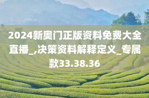 2024新奥门正版资料免费大全直播_,决策资料解释定义_专属款33.38.36