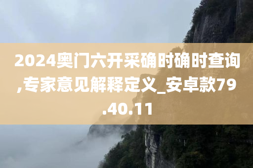 2024奥门六开采确时确时查询,专家意见解释定义_安卓款79.40.11