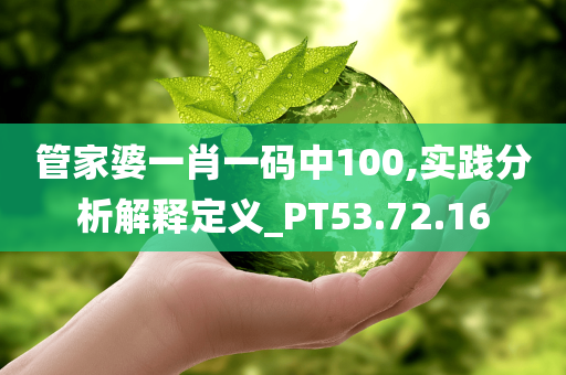 管家婆一肖一码中100,实践分析解释定义_PT53.72.16