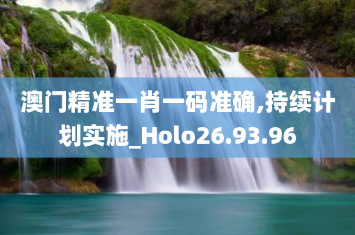 澳门精准一肖一码准确,持续计划实施_Holo26.93.96