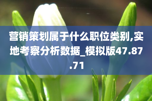 营销策划属于什么职位类别,实地考察分析数据_模拟版47.87.71