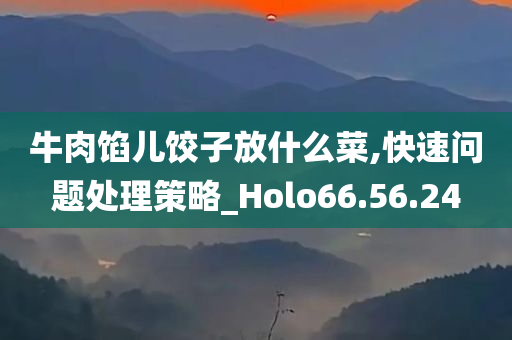 牛肉馅儿饺子放什么菜,快速问题处理策略_Holo66.56.24