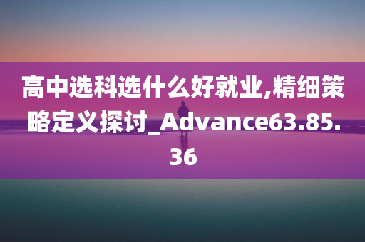 高中选科选什么好就业,精细策略定义探讨_Advance63.85.36