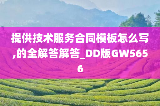 提供技术服务合同模板怎么写,的全解答解答_DD版GW5656