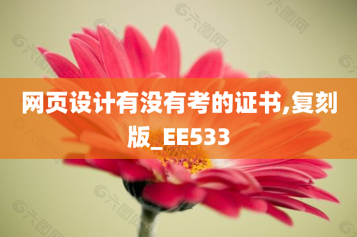 网页设计有没有考的证书,复刻版_EE533