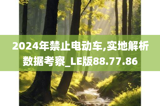 2024年禁止电动车,实地解析数据考察_LE版88.77.86