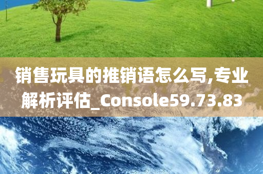 销售玩具的推销语怎么写,专业解析评估_Console59.73.83