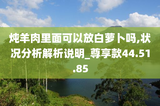 炖羊肉里面可以放白萝卜吗,状况分析解析说明_尊享款44.51.85