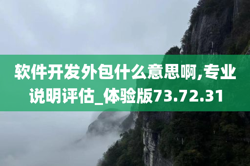 软件开发外包什么意思啊,专业说明评估_体验版73.72.31