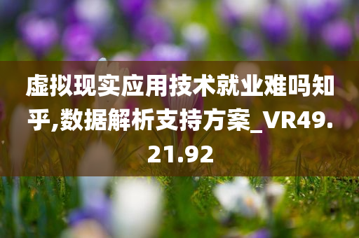 虚拟现实应用技术就业难吗知乎,数据解析支持方案_VR49.21.92