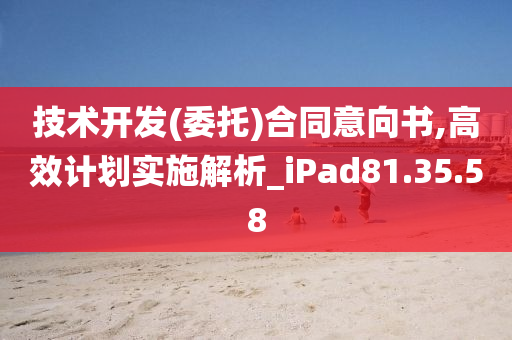 技术开发(委托)合同意向书,高效计划实施解析_iPad81.35.58