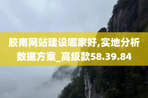 胶南网站建设哪家好,实地分析数据方案_高级款58.39.84