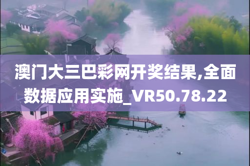 澳门大三巴彩网开奖结果,全面数据应用实施_VR50.78.22