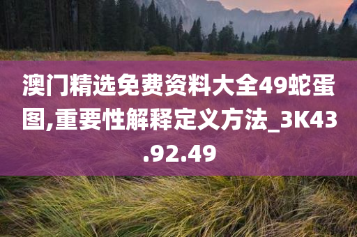 澳门精选免费资料大全49蛇蛋图,重要性解释定义方法_3K43.92.49