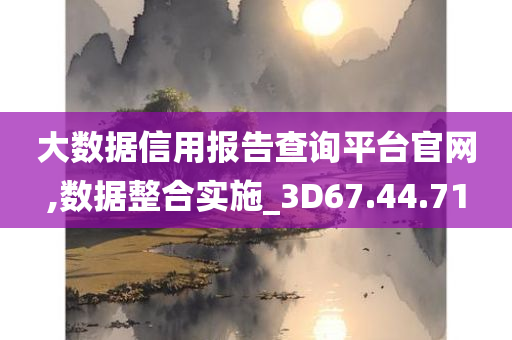 大数据信用报告查询平台官网,数据整合实施_3D67.44.71