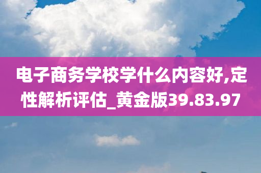 电子商务学校学什么内容好,定性解析评估_黄金版39.83.97