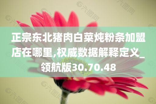 正宗东北猪肉白菜炖粉条加盟店在哪里,权威数据解释定义_领航版30.70.48