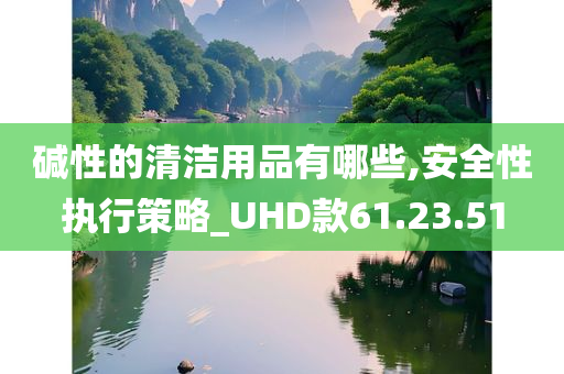 碱性的清洁用品有哪些,安全性执行策略_UHD款61.23.51