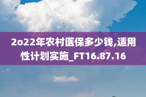 2o22年农村医保多少钱,适用性计划实施_FT16.87.16