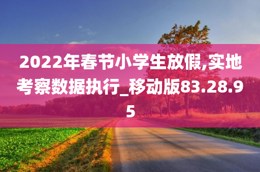 2022年春节小学生放假,实地考察数据执行_移动版83.28.95