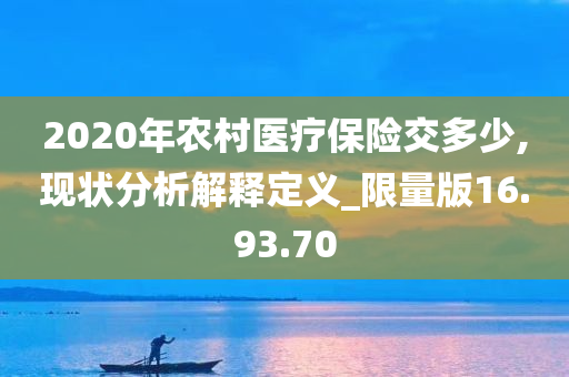 2020年农村医疗保险交多少,现状分析解释定义_限量版16.93.70