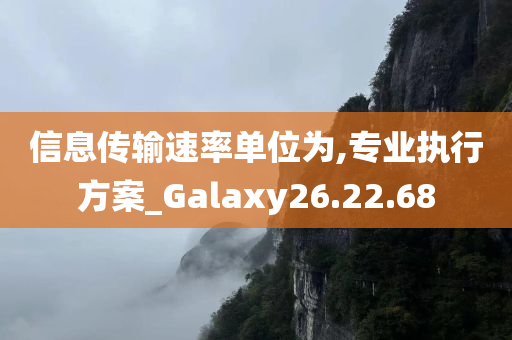 信息传输速率单位为,专业执行方案_Galaxy26.22.68