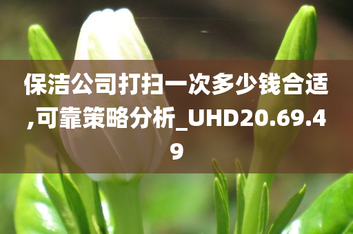 保洁公司打扫一次多少钱合适,可靠策略分析_UHD20.69.49