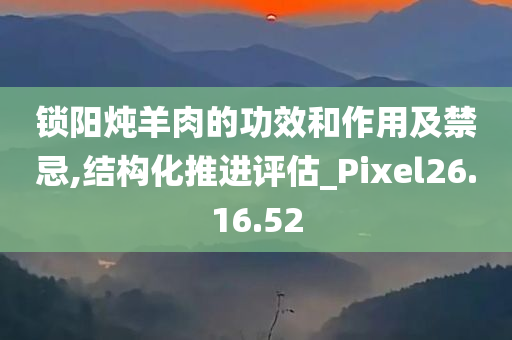 锁阳炖羊肉的功效和作用及禁忌,结构化推进评估_Pixel26.16.52