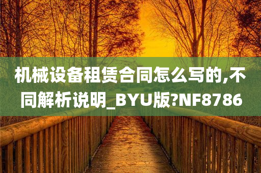 机械设备租赁合同怎么写的,不同解析说明_BYU版?NF8786