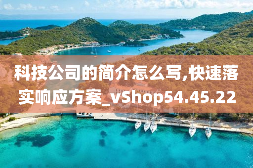 科技公司的简介怎么写,快速落实响应方案_vShop54.45.22