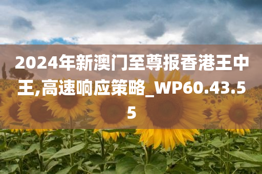 2024年新澳门至尊报香港王中王,高速响应策略_WP60.43.55