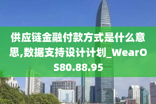 供应链金融付款方式是什么意思,数据支持设计计划_WearOS80.88.95