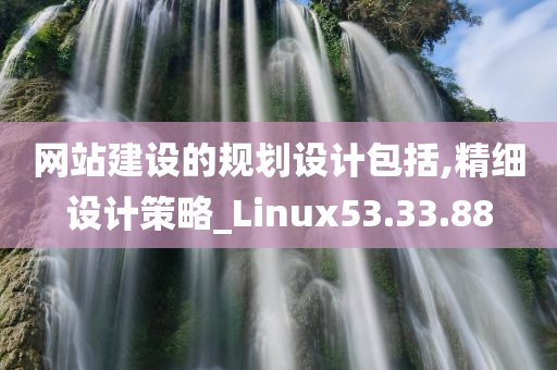 网站建设的规划设计包括,精细设计策略_Linux53.33.88