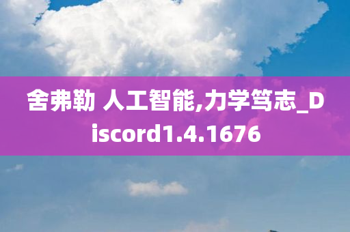 舍弗勒 人工智能,力学笃志_Discord1.4.1676