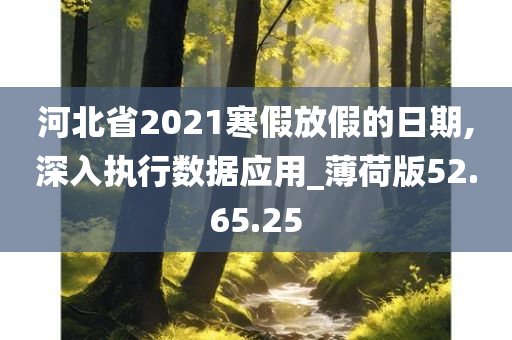 河北省2021寒假放假的日期,深入执行数据应用_薄荷版52.65.25