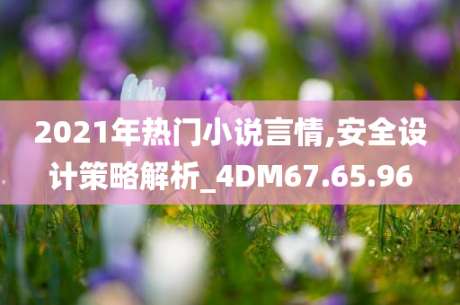 2021年热门小说言情,安全设计策略解析_4DM67.65.96