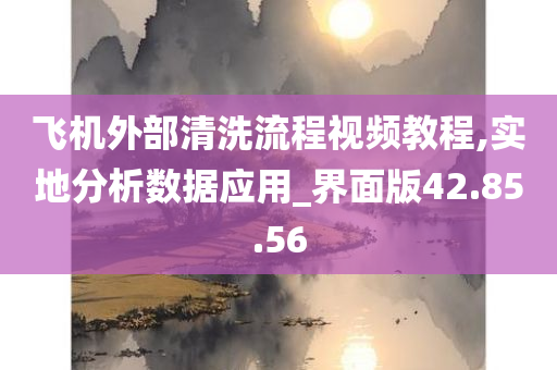 飞机外部清洗流程视频教程,实地分析数据应用_界面版42.85.56