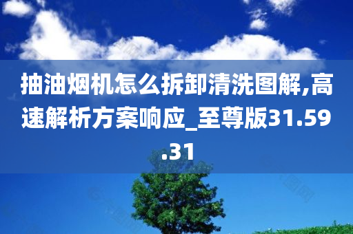 抽油烟机怎么拆卸清洗图解,高速解析方案响应_至尊版31.59.31