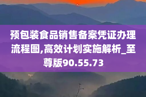 预包装食品销售备案凭证办理流程图,高效计划实施解析_至尊版90.55.73