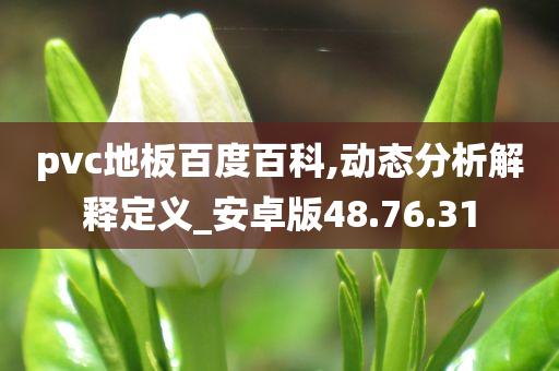 pvc地板百度百科,动态分析解释定义_安卓版48.76.31