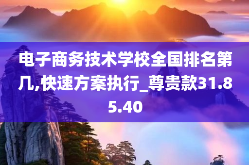 电子商务技术学校全国排名第几,快速方案执行_尊贵款31.85.40