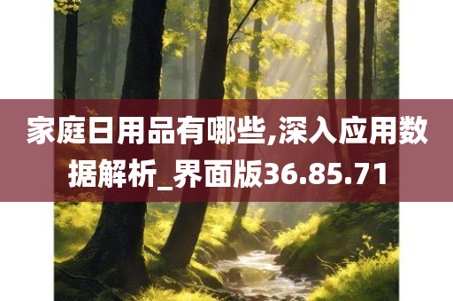 家庭日用品有哪些,深入应用数据解析_界面版36.85.71